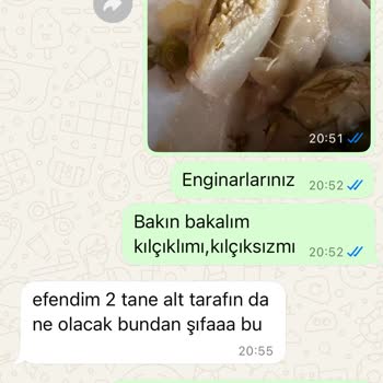 Enginar Siparişimde Gecikme, Kalitesiz Ürün Ve Kötü Müşteri Hizmeti