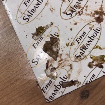 Fırın Safranbolu Pasta Cafe (Kartal) Aldığımız Pastanın İçinden Cam Çıktı