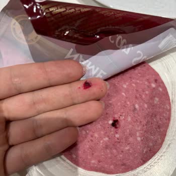 Namet Dana Macar Salamdan Çıkan Yabancı Madde Endişesi