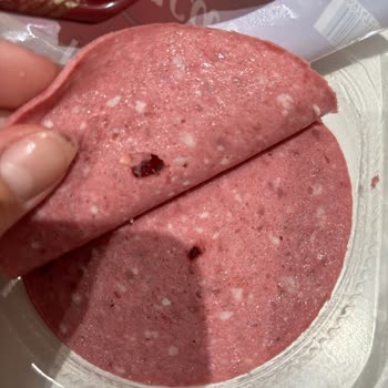 Namet Dana Macar Salamdan Çıkan Yabancı Madde Endişesi
