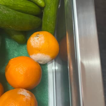 Bosch Buzdolabında Sürekli Sorun Ve Mağduriyet Yaşadım