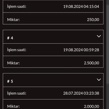 Casibom'da Güvenlik Sorunları