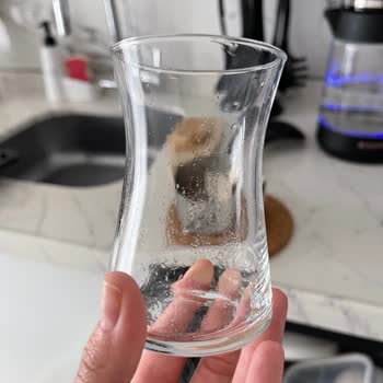 Bulaşık Makinesi Deterjan Kalıntıları Yüzünden Sağlık Sorunları Yaşıyoruz