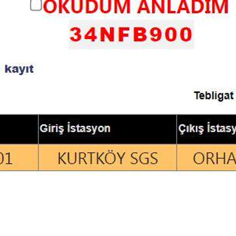 HGS Sisteminde Yeni Plakama Ait Olmayan Ceza Hatalı Şekilde Hesabıma Yansıtıldı