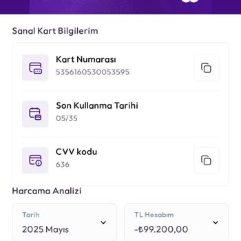 Dijital Cüzdandaki Paramı Kullanamıyorum