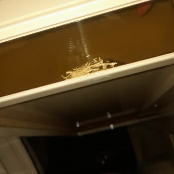 Modalife Mobilya'da Sürekli Hasarlı Ürün Ve İlgisiz Servis Sorunu