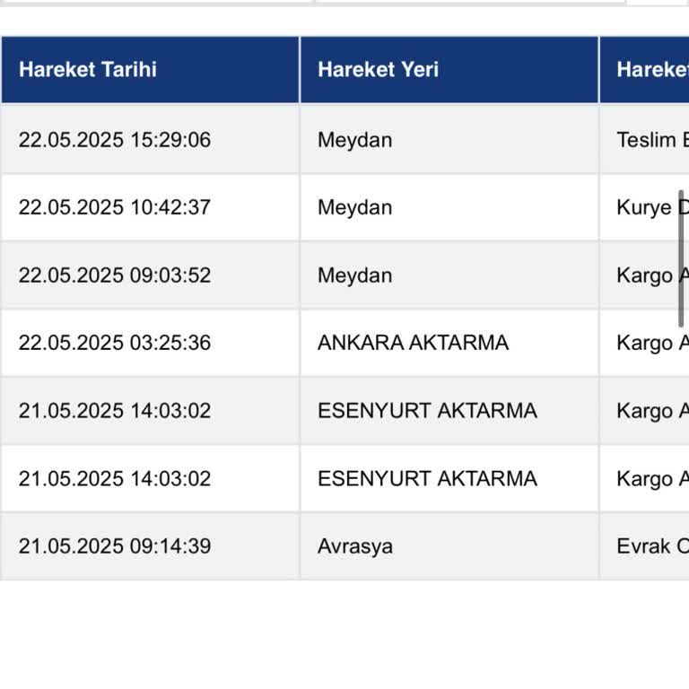 Skynet Worldwide Temu Siparişim Yanlış Şehre Teslim Edildi, Elektronik Ürünüm Kayboldu