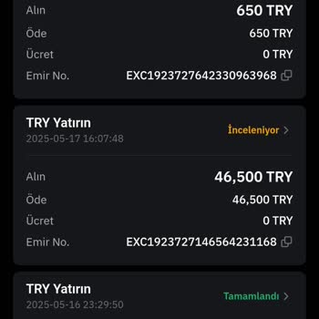Bybitovo.vip&nbsp; Uygulamasında Para Yatırma Sorunu ve Gecikmeli İade Süreci