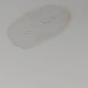Yeni Teslim Edilen Dairede Su Kaçağı Sorunu Ve İlgisizlik