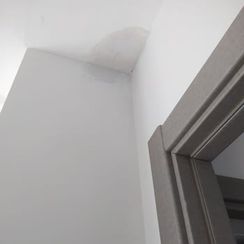 Yeni Teslim Edilen Dairede Su Kaçağı Sorunu Ve İlgisizlik