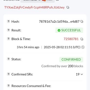 Yanlış Kripto Transferi Sonrası Destek Sorunu