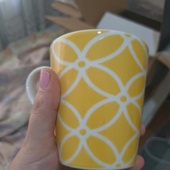 Aryıldız Kusurlu Tabak Seti İçin Satıcı Ve Servisten Destek Alamıyorum!