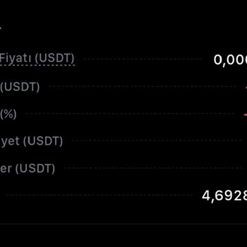 Bitci Coin Değer Kaybı Ve Mağduriyet Endişesi