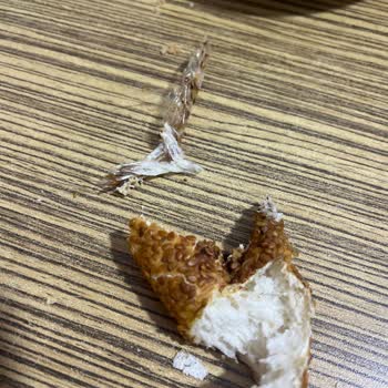 A101'den Aldığım Simitten Plastik Parça Çıktı