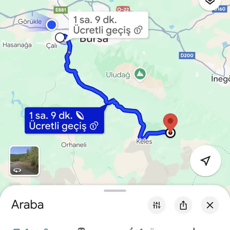 Mezuniyet Töreninin Dağda Ve Zorunlu Yapılmasına Tepki