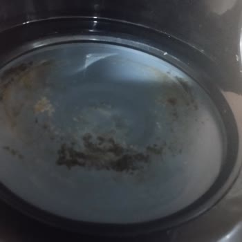 Philips Filtre Kahve Makinesinde Garanti Kapsamında Rezistans Soyulması Ve Paslanma Sorunu