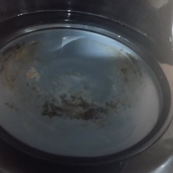 Philips Filtre Kahve Makinesinde Garanti Kapsamında Rezistans Soyulması Ve Paslanma Sorunu