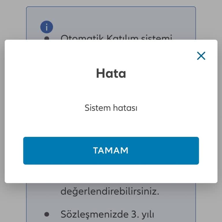 4 Aydır Allianz'dan Paramı Alamıyorum: Sistem Hatası Ve Cevapsız Destek