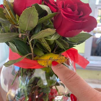 Anneler Günü Siparişim Özensiz Ve Zamanında Çözülmedi