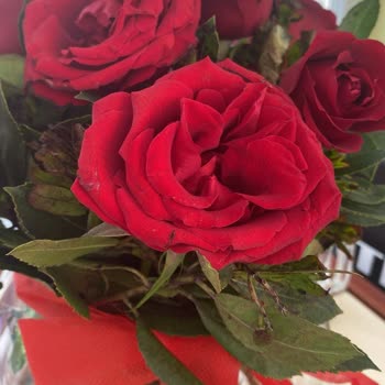 Anneler Günü Siparişim Özensiz Ve Zamanında Çözülmedi