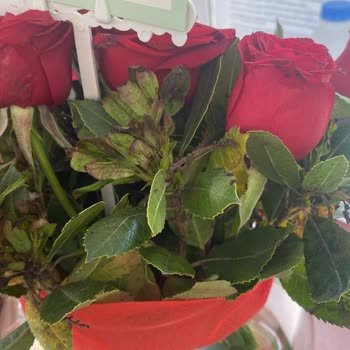 Anneler Günü Siparişim Özensiz Ve Zamanında Çözülmedi