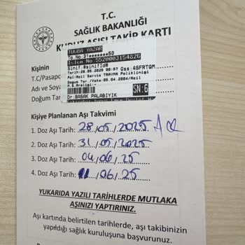 Başıboş Köpek Saldırısı Sonrası Acil Müdahale Ve Güvenlik Talebi