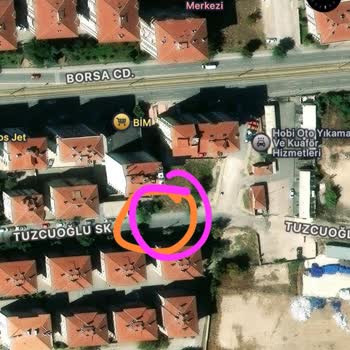 Başıboş Köpek Saldırısı Sonrası Acil Müdahale Ve Güvenlik Talebi