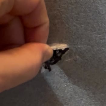 Kargo Hasarlı TV İçin İade Reddi Ve Mağduriyet