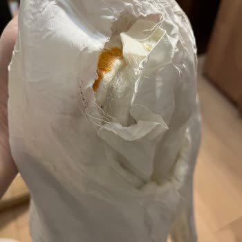 Cevapsız İade Talebi Ve Kusurlu Ürünler Mağduriyetim