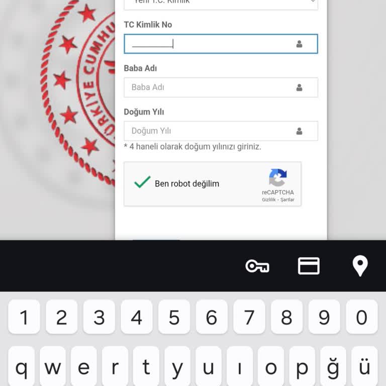 Kura Sonucu Sorgulama Sayfasında T.C. Kimlik Ve Bilgi Girişi Sorunu