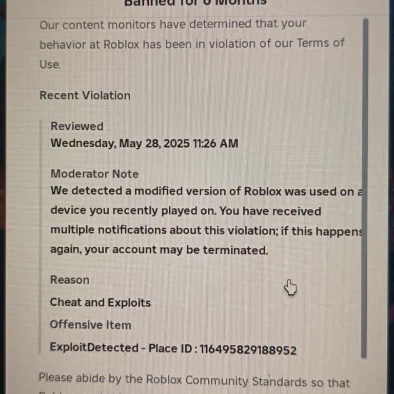 Roblox забанили меня на 6 месяцев