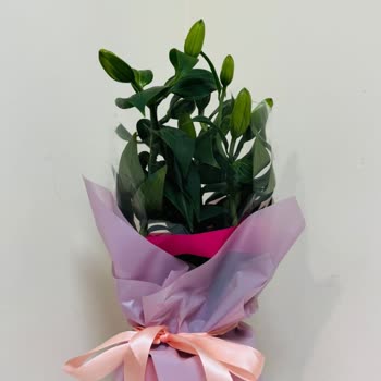 Çiçek Sepeti'nden Farklı Ürün Ve Sorunlu Onay Sistemi