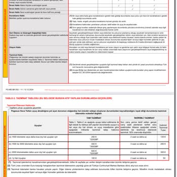 Pegasus'ta 5 Saate Yakın Rötar Ve Bilgi Eksikliği Mağduriyeti