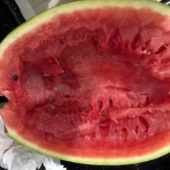 Migros Hemen'den Alınan Çürük Karpuz İçin Günlerdir Çözüm Ve Geri Dönüş Yok