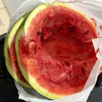 Migros Hemen'den Alınan Çürük Karpuz İçin Günlerdir Çözüm Ve Geri Dönüş Yok