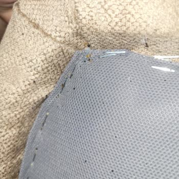 Aldığım Yatakta Sürekli Tahtakurusu Sorunu Yaşıyorum