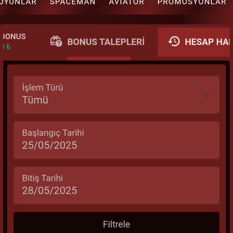Yatırım Onay Sürecinin Uzaması Ve Mağduriyet