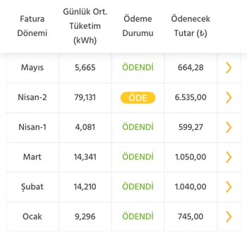 Hatalı Fatura Nedeniyle Elektrik Kesintisiyle Mağdur Edildik