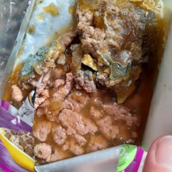 Whiskas Nassfutter verdorben – keine Lösung durch Mars