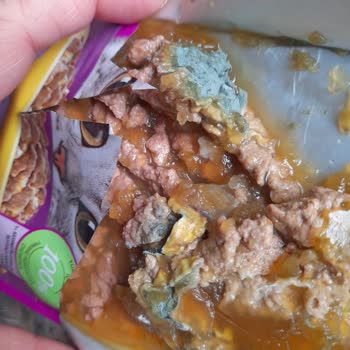 Whiskas Nassfutter verdorben – keine Lösung durch Mars