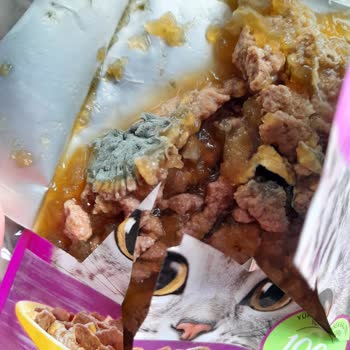 Whiskas Nassfutter verdorben – keine Lösung durch Mars