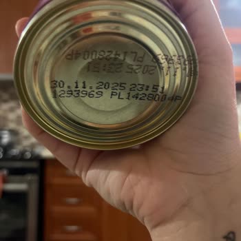 Whiskas Nassfutter mit üblem Geruch – weder Haus- noch Straßenkatzen wollten es fressen