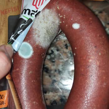 Son Kullanma Tarihi Geçmemiş Sucukta Küf Sorunu