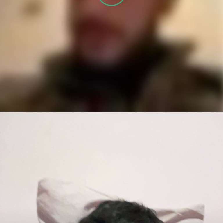 Ome TV Akzeptieren Ablehnen Schaltfläche verschwindet automatisch