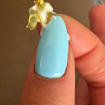 L'Occitane, objeto extraño en crema de manos Shea Butter