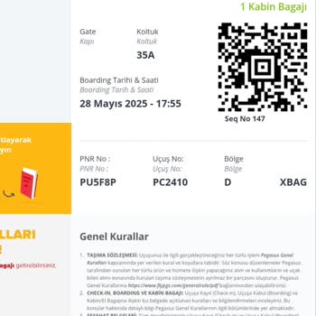 Pegasus'ta Check-in Sorunu, Valiz Karmaşası Ve Maddi Kayıp Yaşadım