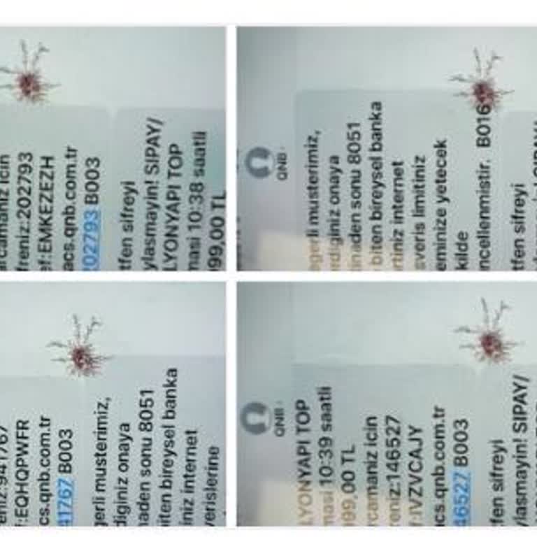 Sipay'in Sahte Sitelerle Mücadelede Yetersizliği Ve Mağduriyetim