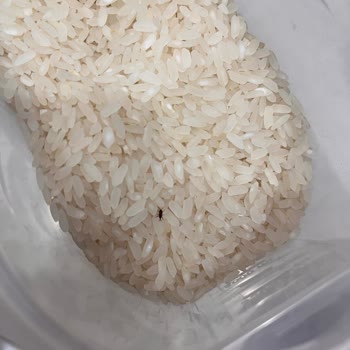 Kooperatiften Aldığım Pirinç Böcekli Çıktı, Değişim Yapılmadı