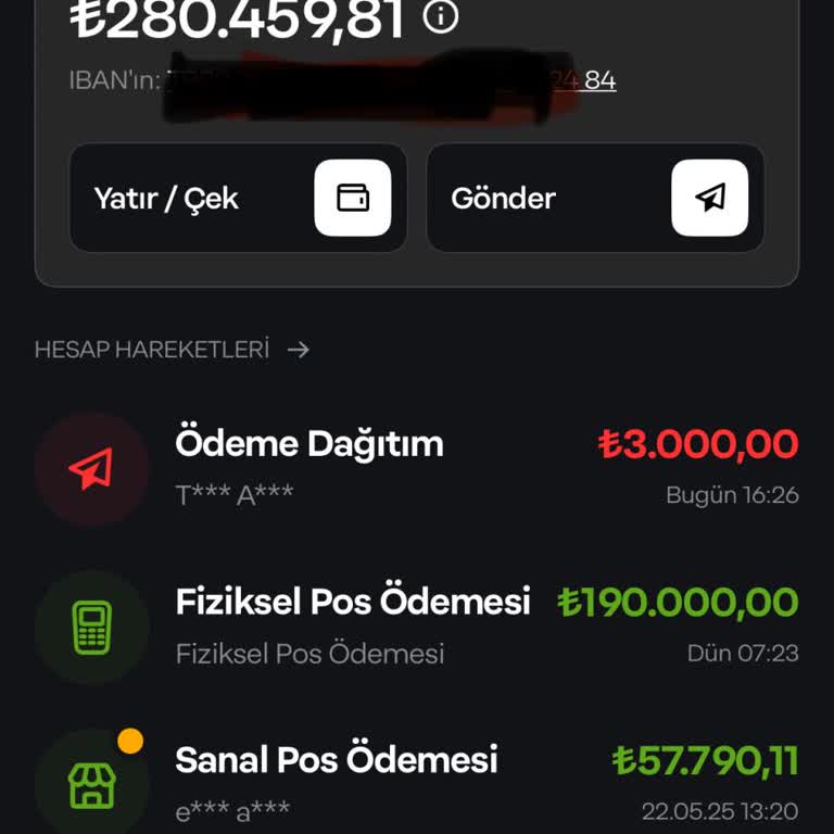 Papara Hesabımdaki Parama Erişemiyorum, Ticaretim Durdu!