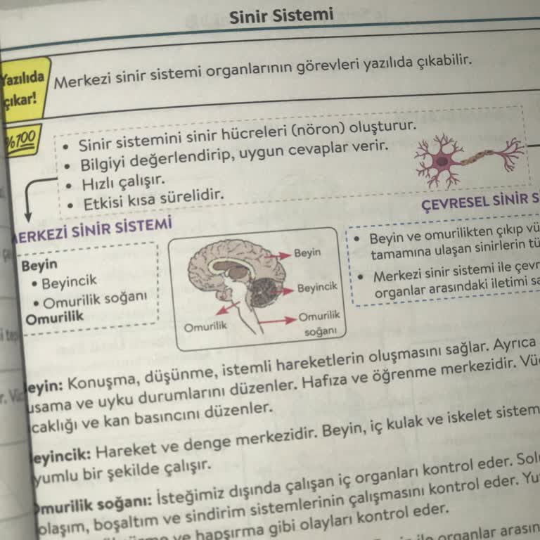 Yanlış Basılan Sayfa Nedeniyle Sınavda Hata Yaptım